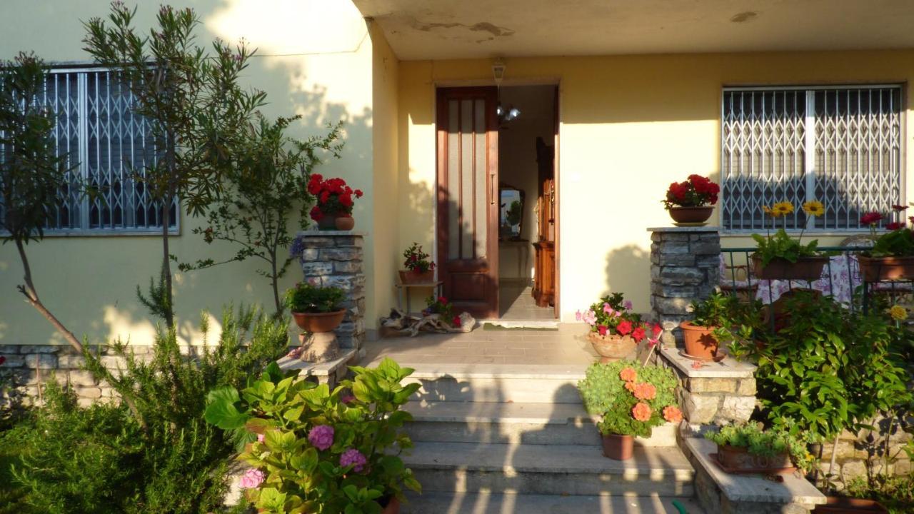 Al 12 Apartment Marina Di Pisa